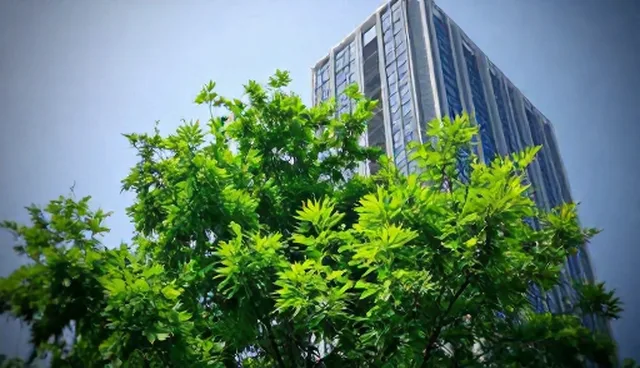 对象覆盖企业维护建议：五项检查要点解析